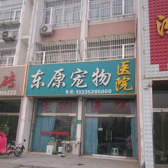 乐奇宠物诊所:泰安市东平县