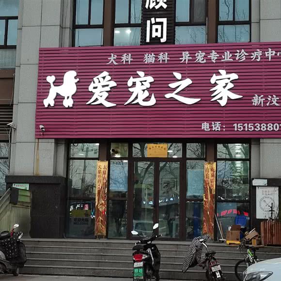 爱宠之家(新汶店):泰安市新泰市