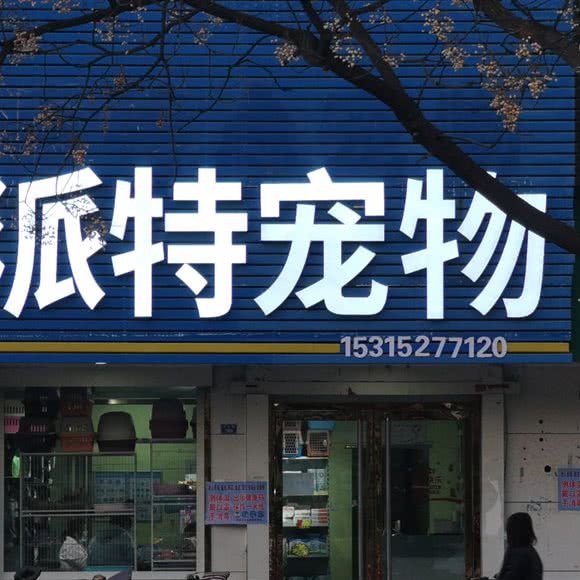 派特狗狗:泰安市新泰市