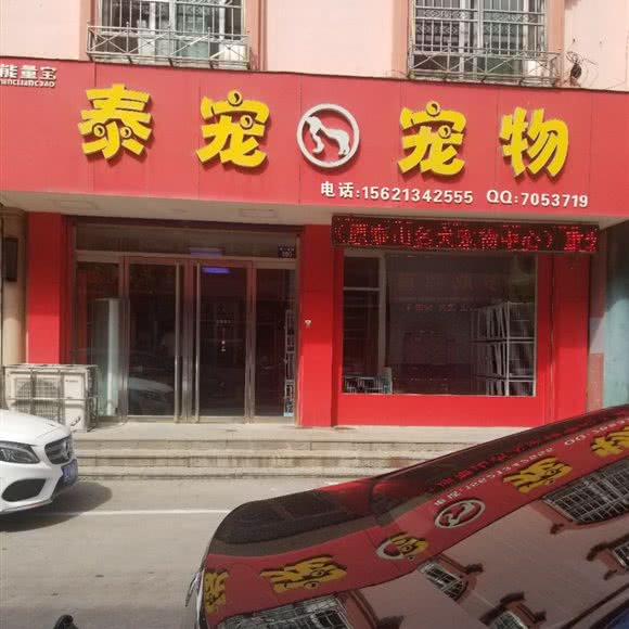 泰宠宠物:泰安市新泰市