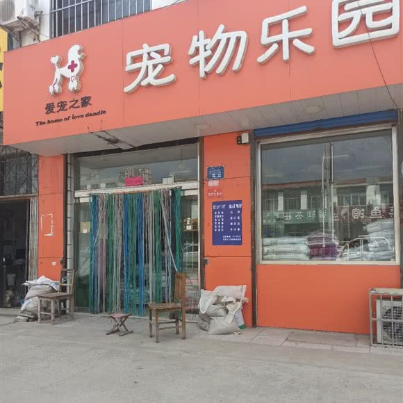 爱宠之家宠物乐园:泰安市新泰市