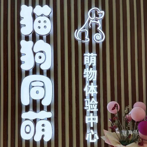 猫狗同萌萌物体验中心:包头市昆都仑区万达附近