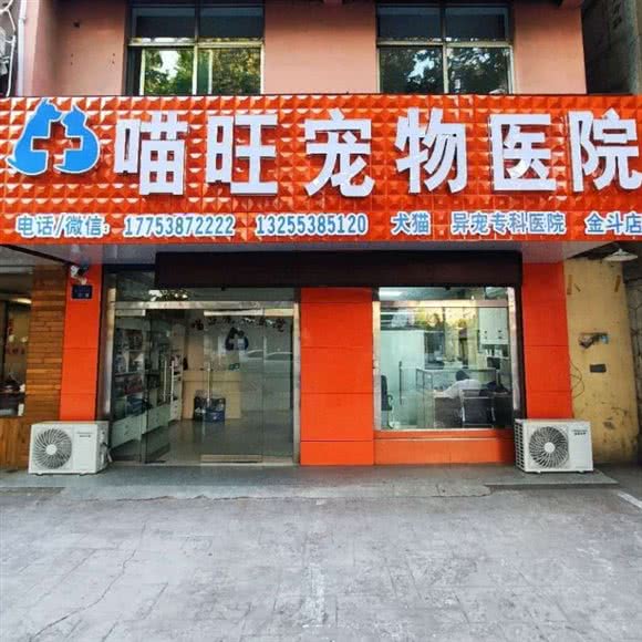 喵旺宠物医院:泰安市新泰市