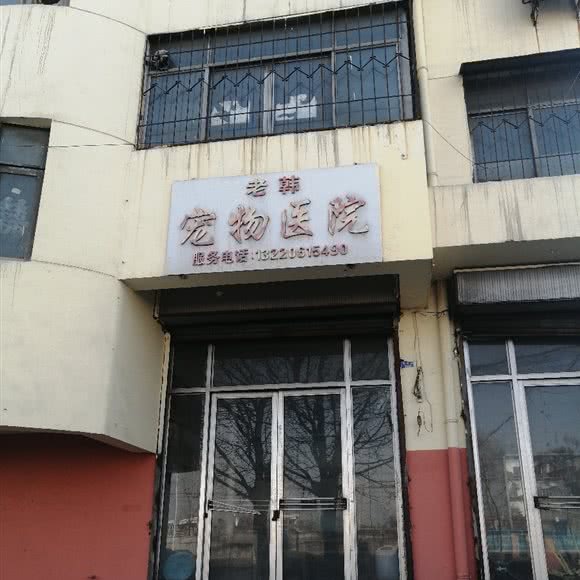 老韩宠物医院:泰安市新泰市