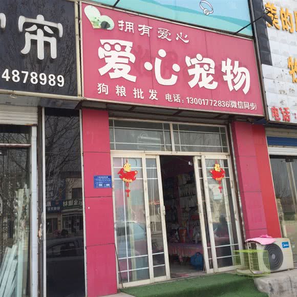 拥有爱心爱心宠物:泰安市肥城市