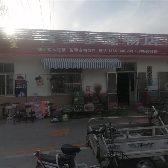 喜多多宠物店:泰安市肥城市