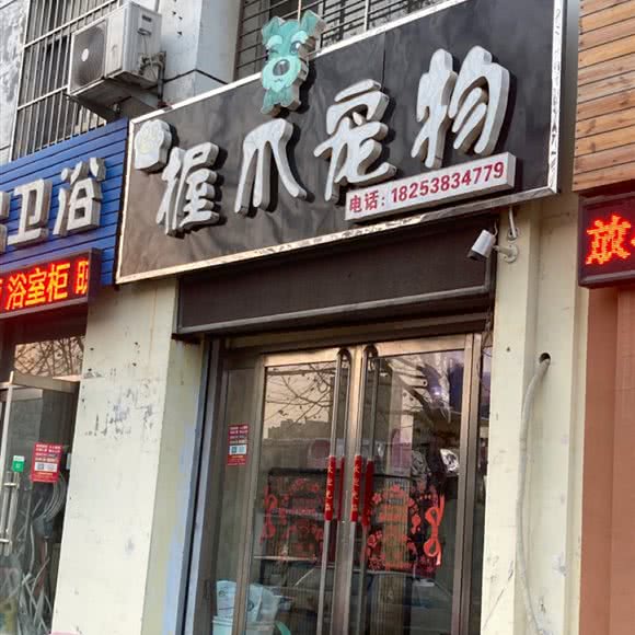 握爪宠物:泰安市肥城市