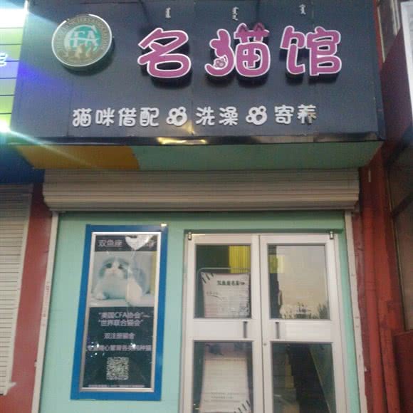 名猫馆:包头市昆都仑区万达附近