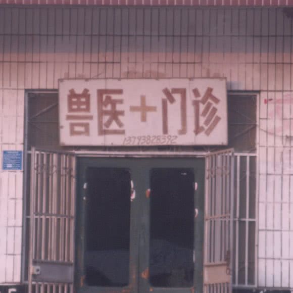 兽医门诊:泰安市肥城市