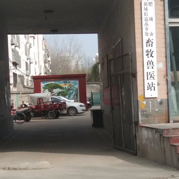 肥城市新城街道办事处畜牧兽医站:泰安市肥城市