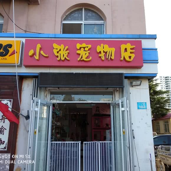 小张宠物:威海市环翠区