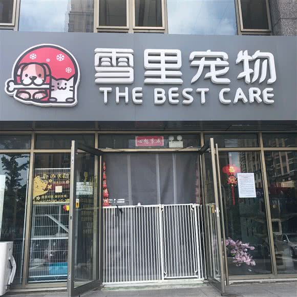 雪里狗狗:威海市环翠区