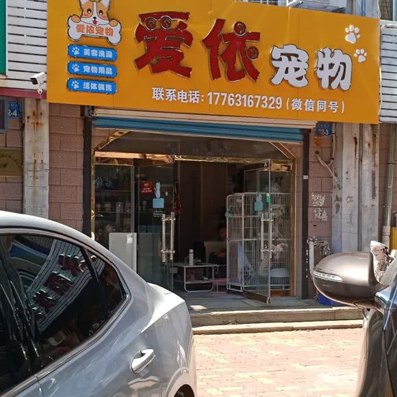 爱依宠物:威海市文登区