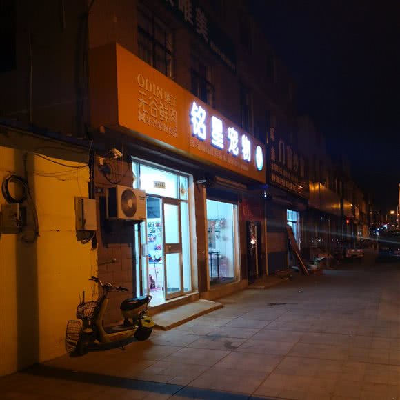 铭星宠物:威海市文登区