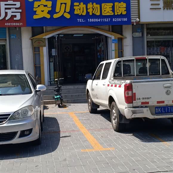 安贝动物医院:威海市文登区
