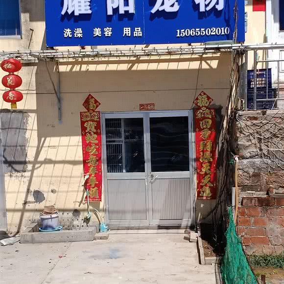 耀阳宠物:威海市荣成市