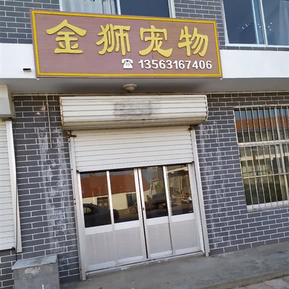 金狮宠物:威海市荣成市