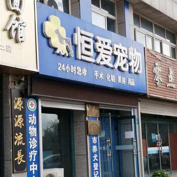 恒爱宠物:威海市荣成市