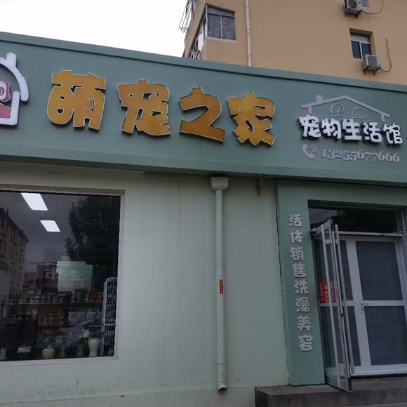 萌宠之家:威海市乳山市