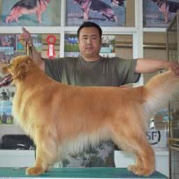 铁血宠物用品店:日照市东港区