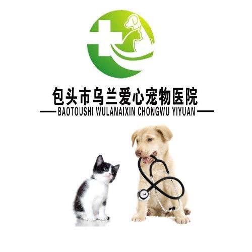 乌兰爱心宠物医院:包头市昆都仑区万达附近