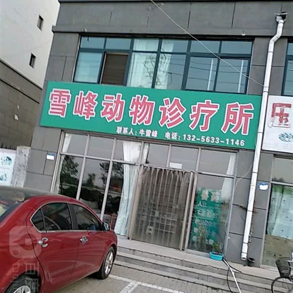 雪峰动物诊疗所:日照市东港区