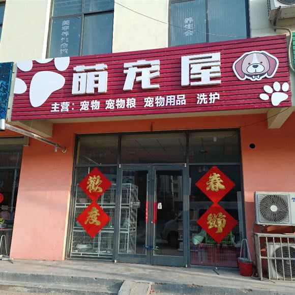 萌宠屋:临沂市兰山区