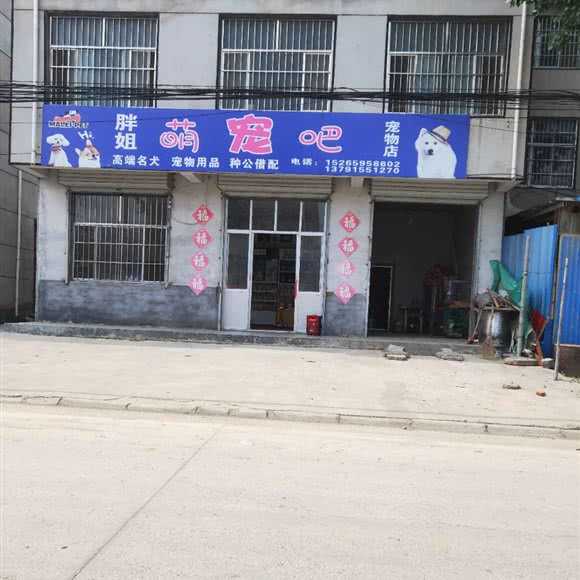 胖姐萌宠吧宠物店:临沂市兰山区