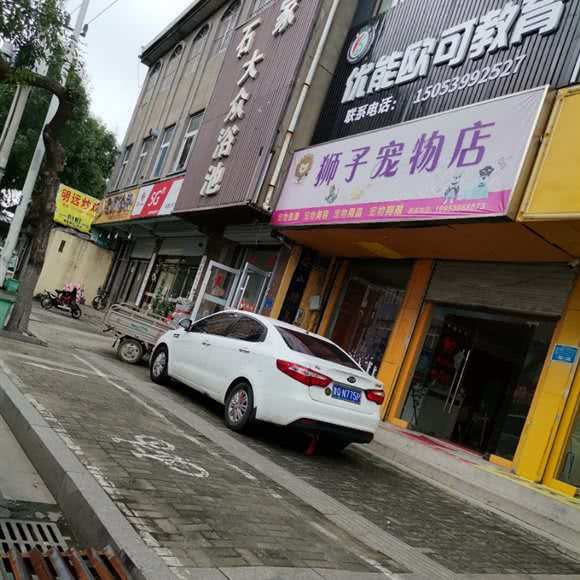 狮子宠物店:临沂市兰山区