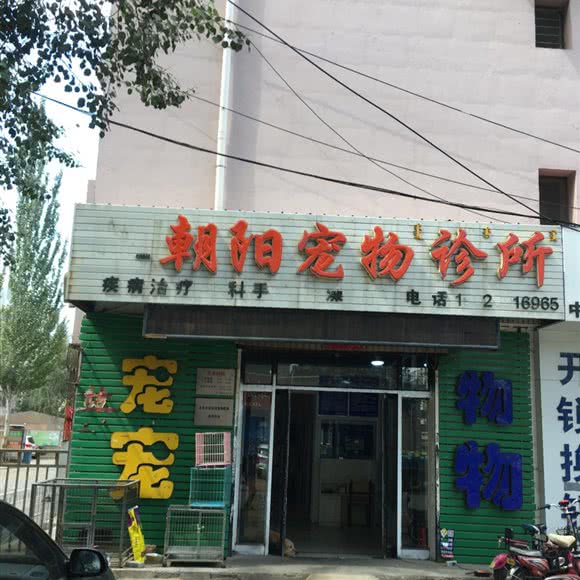 朝扬宠物诊所:包头市昆都仑区包百附近