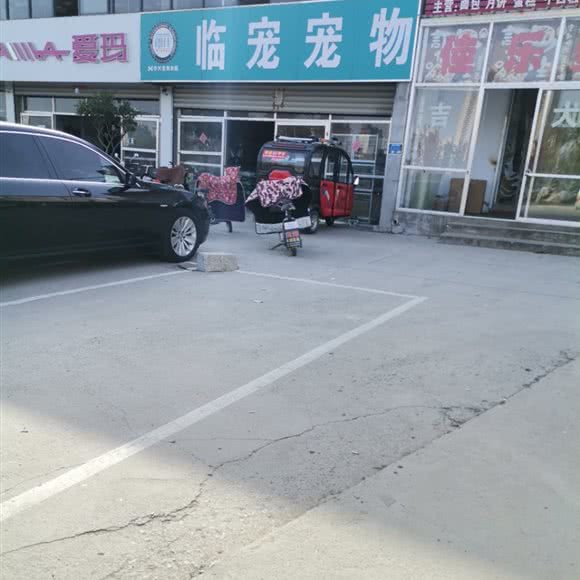 临宠宠物:临沂市罗庄区