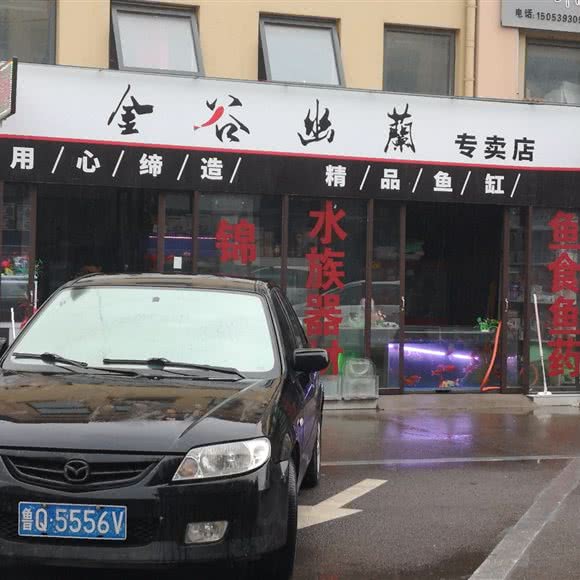 金谷幽兰:临沂市罗庄区