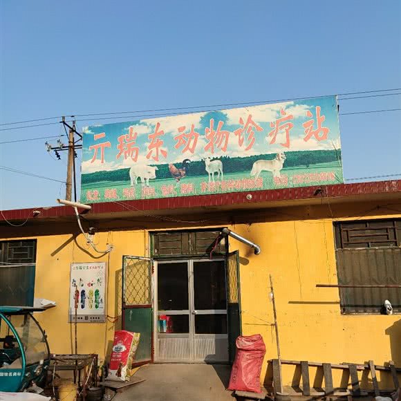 亓瑞东动物诊疗站:临沂市罗庄区