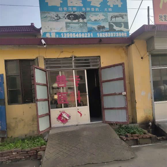 兽医专科:临沂市罗庄区