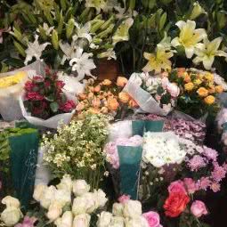 包头市花苑宠物市场:包头市昆都仑区市府东路附近