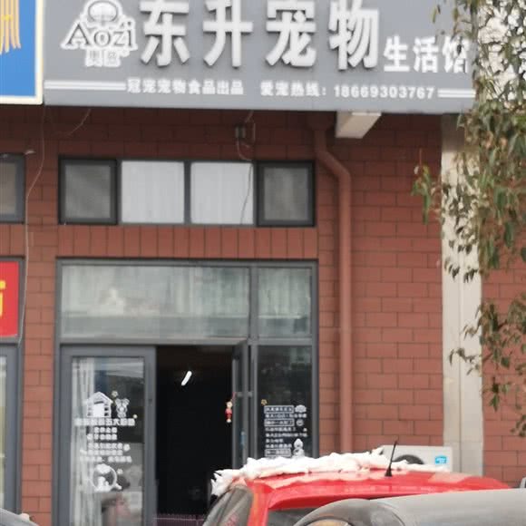 永华宠物:临沂市河东区