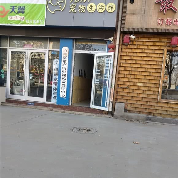 宠物生活馆:临沂市河东区