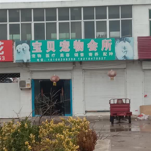 宝贝宠物会所:临沂市河东区