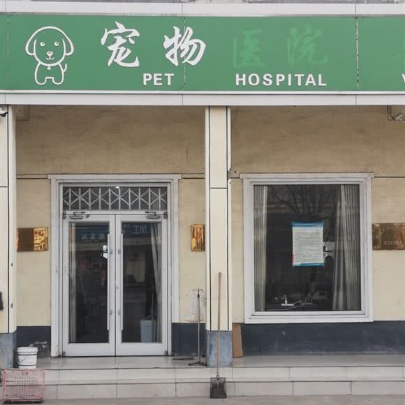 宠物医院:临沂市河东区