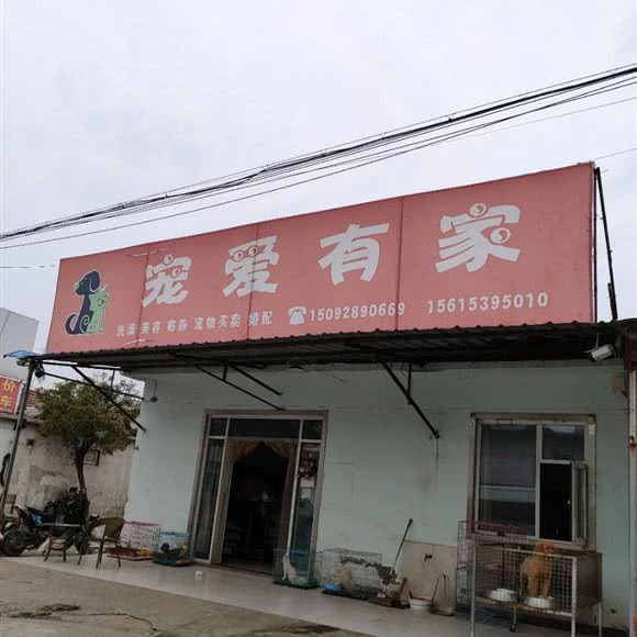 宠爱有家(澳柯玛路店):临沂市沂南县