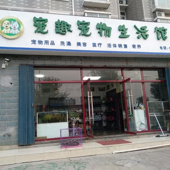 宠趣宠物狗生活馆:临沂市沂南县