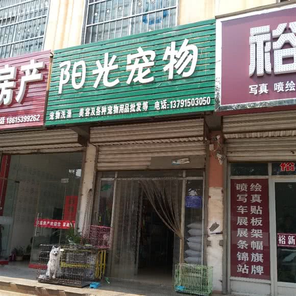 阳光宠物:临沂市沂南县