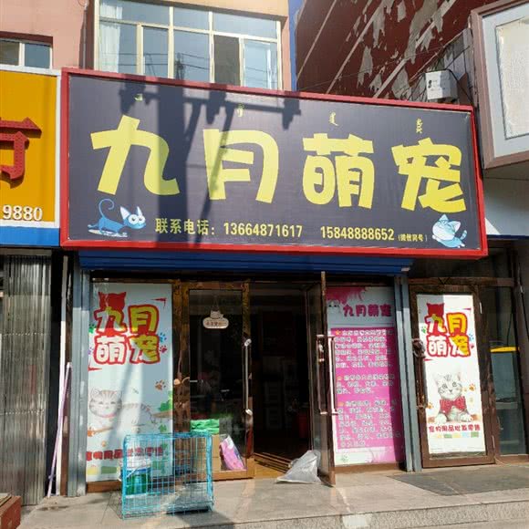 九月萌宠:包头市昆都仑区乐园附近