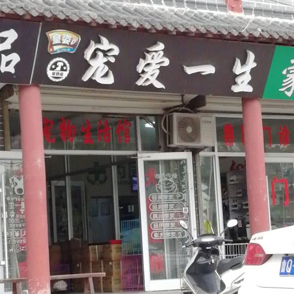 皇姿宠爱一生:临沂市郯城县