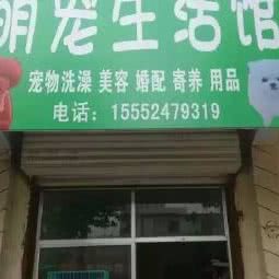 萌宠宠物:临沂市郯城县