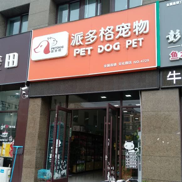 派多格宠物(文化路店):临沂市郯城县