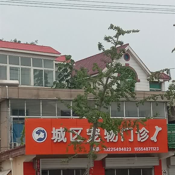 城区宠物门诊:临沂市郯城县