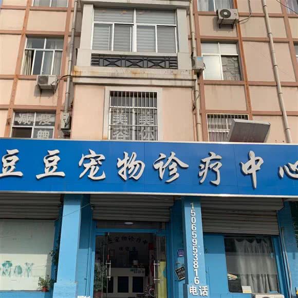 豆豆宠物诊疗中心:临沂市郯城县