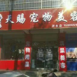 天赐宠物美容:临沂市沂水县