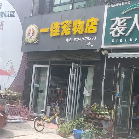 一佳宠物店:临沂市沂水县
